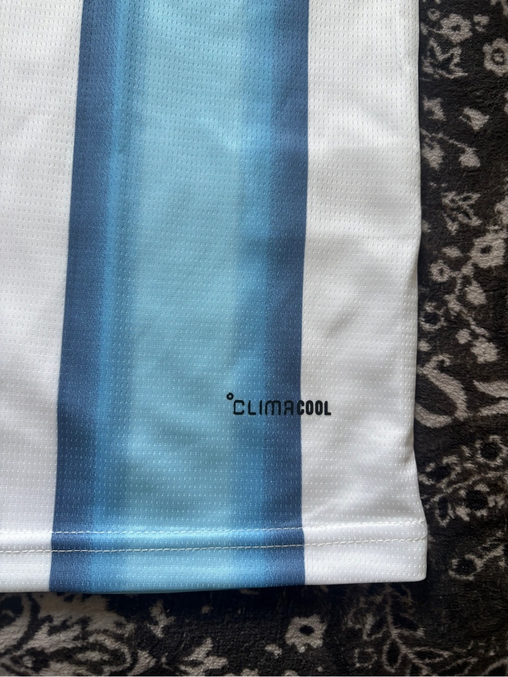 Argentina Lionel Messi #10 2026 World Cup Home Men's Jersey Fan Version - Picture 3 of 4